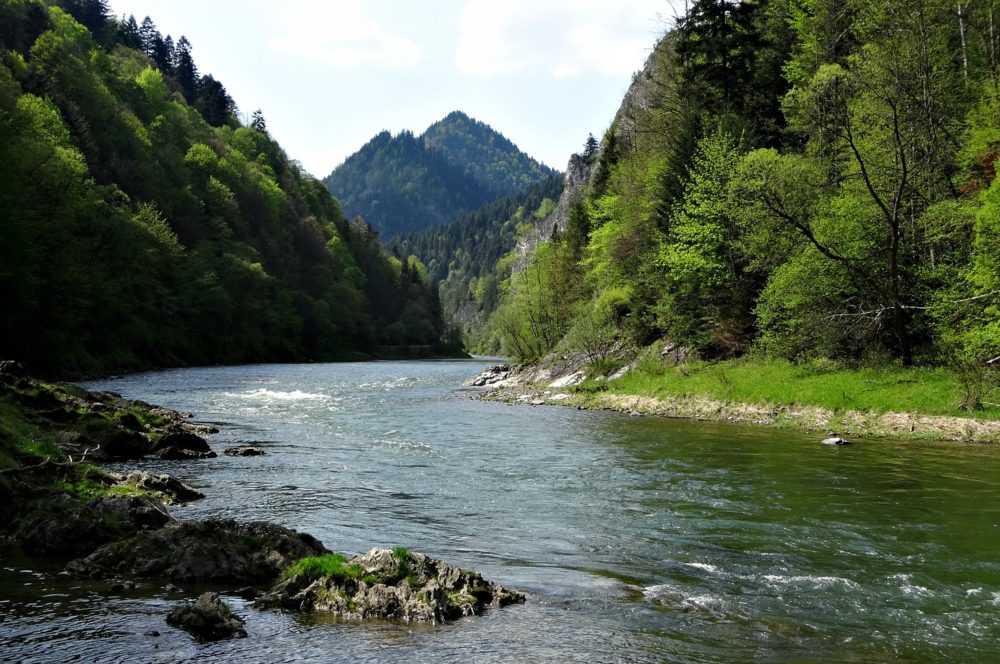 pieniny-1164557_1920